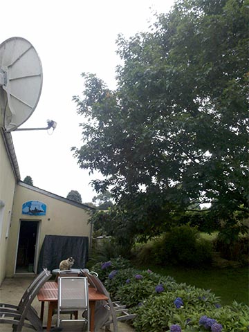 Image 05 de la galerie - Toutes Feuilles - Toutes Flammes