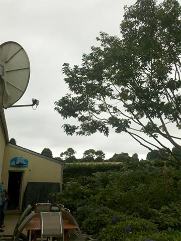 Image 06 de la galerie - Toutes Feuilles - Toutes Flammes