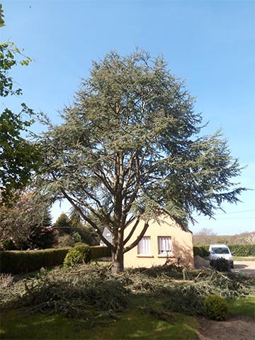 Image 08 de la galerie - Toutes Feuilles - Toutes Flammes