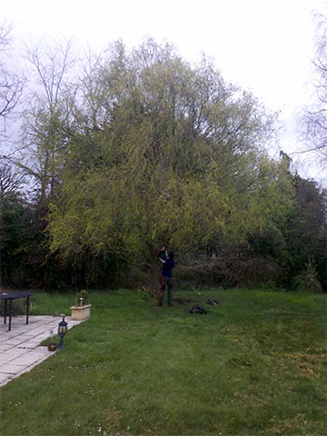 Image 09 de la galerie - Toutes Feuilles - Toutes Flammes